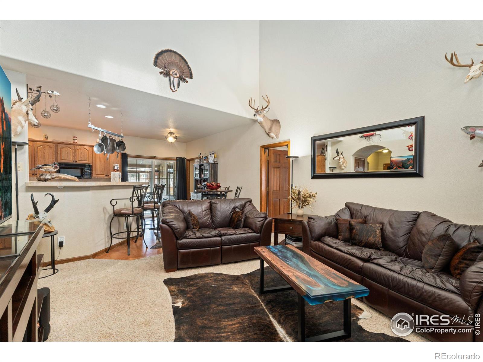 MLS Image #8 for 1115  founders circle,windsor, Colorado