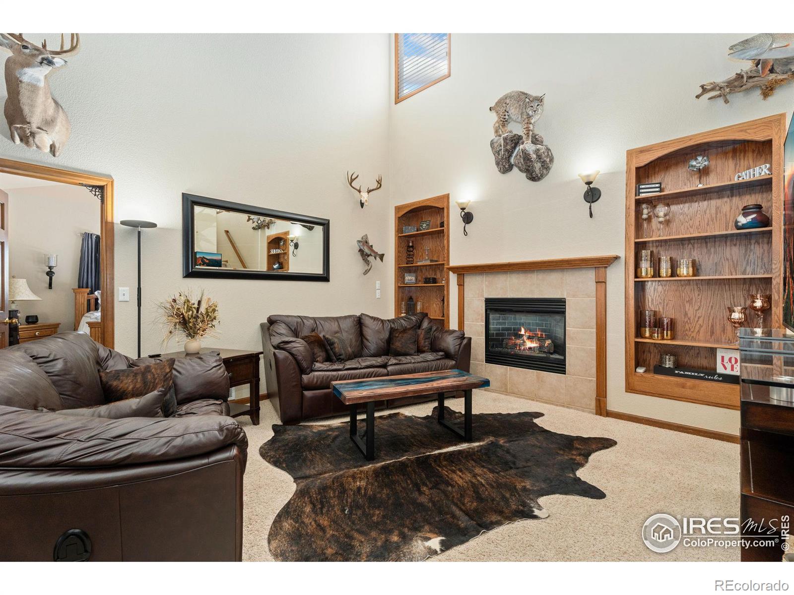 MLS Image #9 for 1115  founders circle,windsor, Colorado