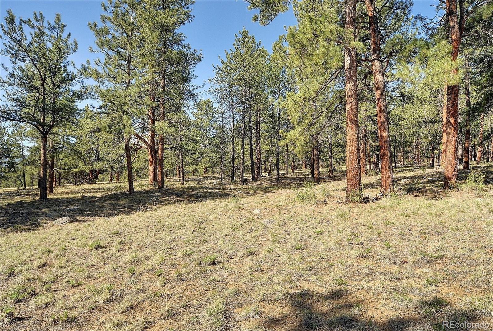 MLS Image #47 for 18360  trail west drive,buena vista, Colorado