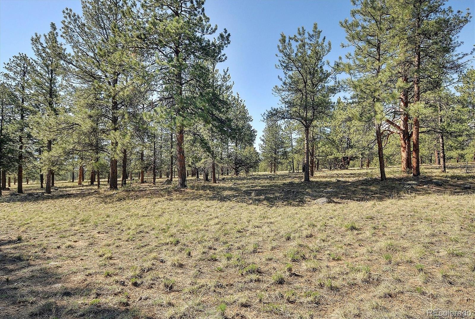 MLS Image #48 for 18360  trail west drive,buena vista, Colorado