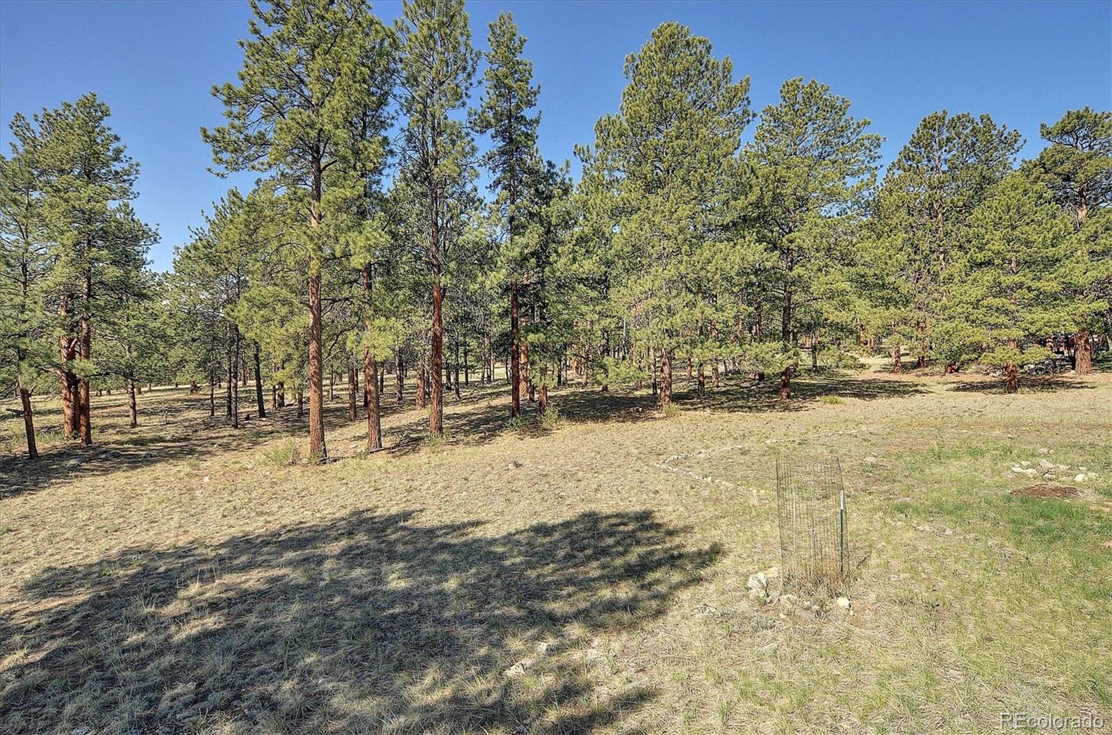 MLS Image #49 for 18360  trail west drive,buena vista, Colorado