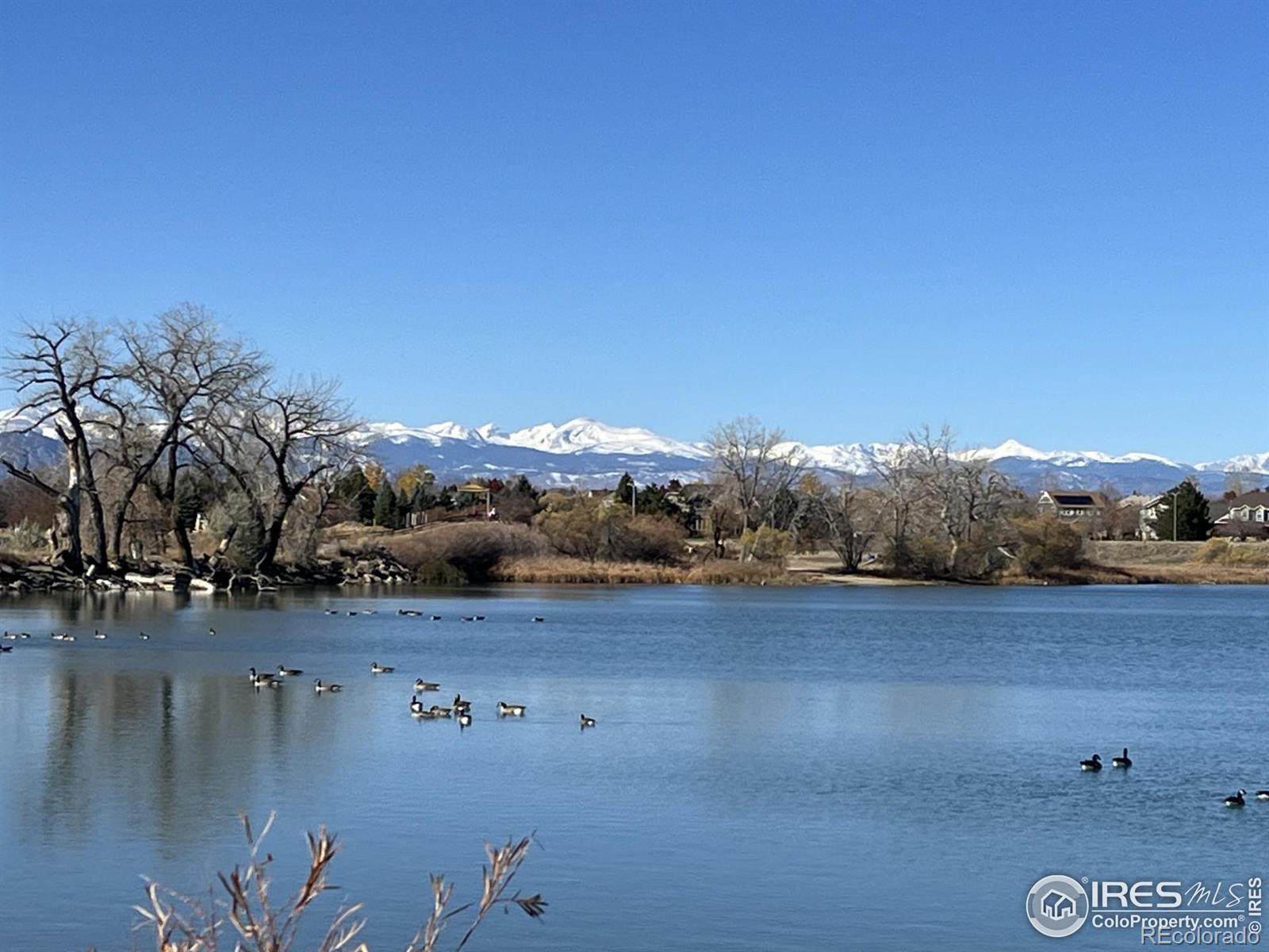 MLS Image #35 for 13900  lake song lane,broomfield, Colorado