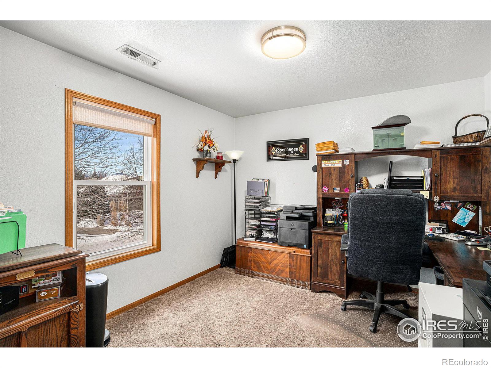 MLS Image #19 for 580  mount massive street,berthoud, Colorado