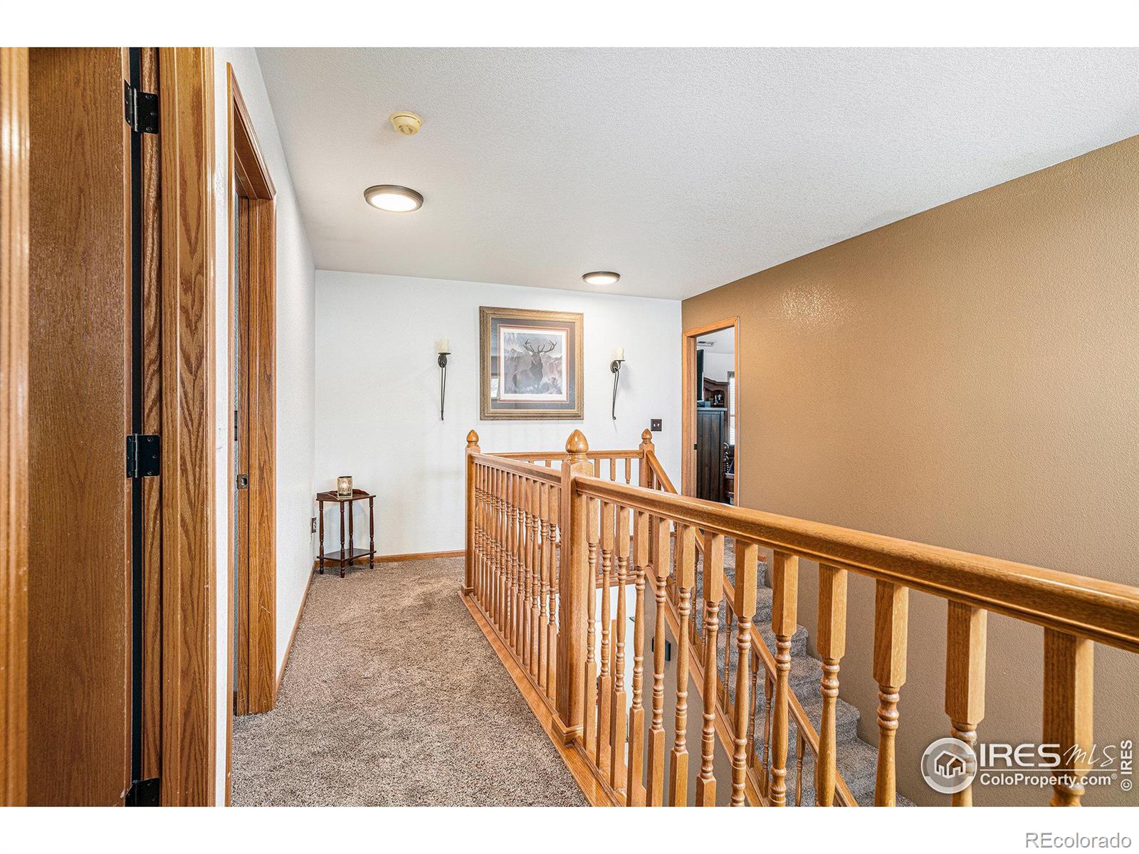 MLS Image #24 for 580  mount massive street,berthoud, Colorado