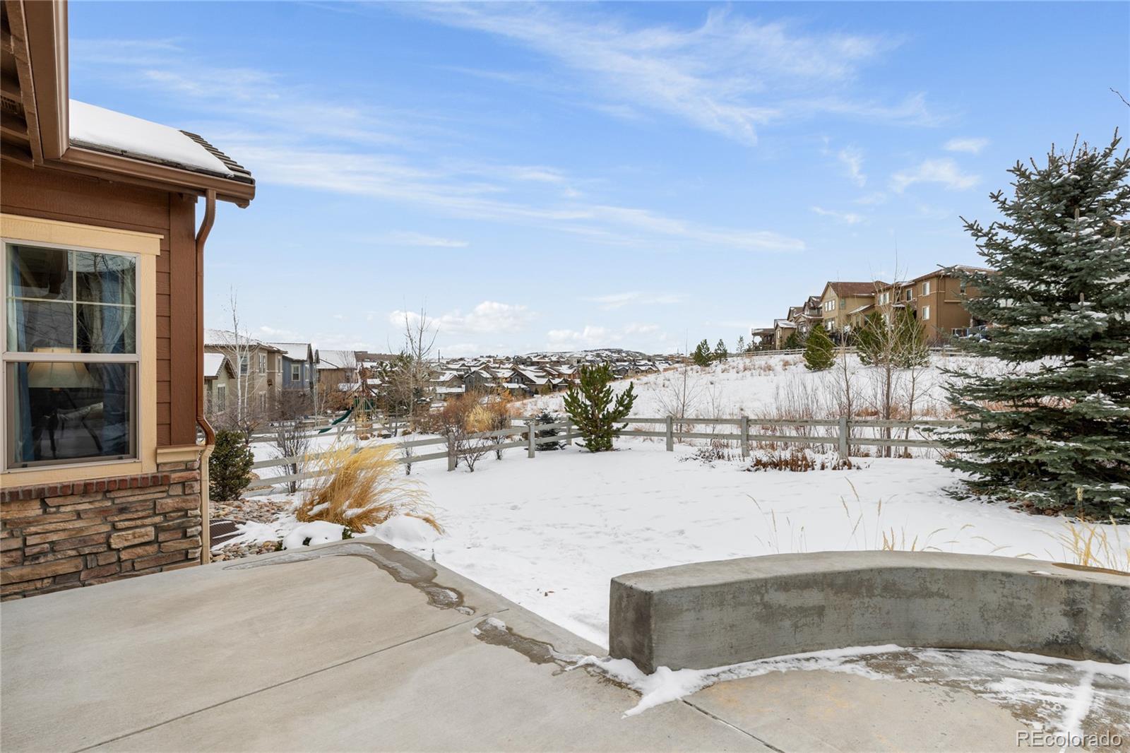 MLS Image #38 for 1128  starglow place,highlands ranch, Colorado