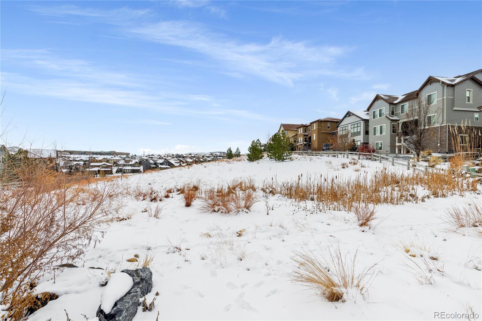 MLS Image #43 for 1128  starglow place,highlands ranch, Colorado