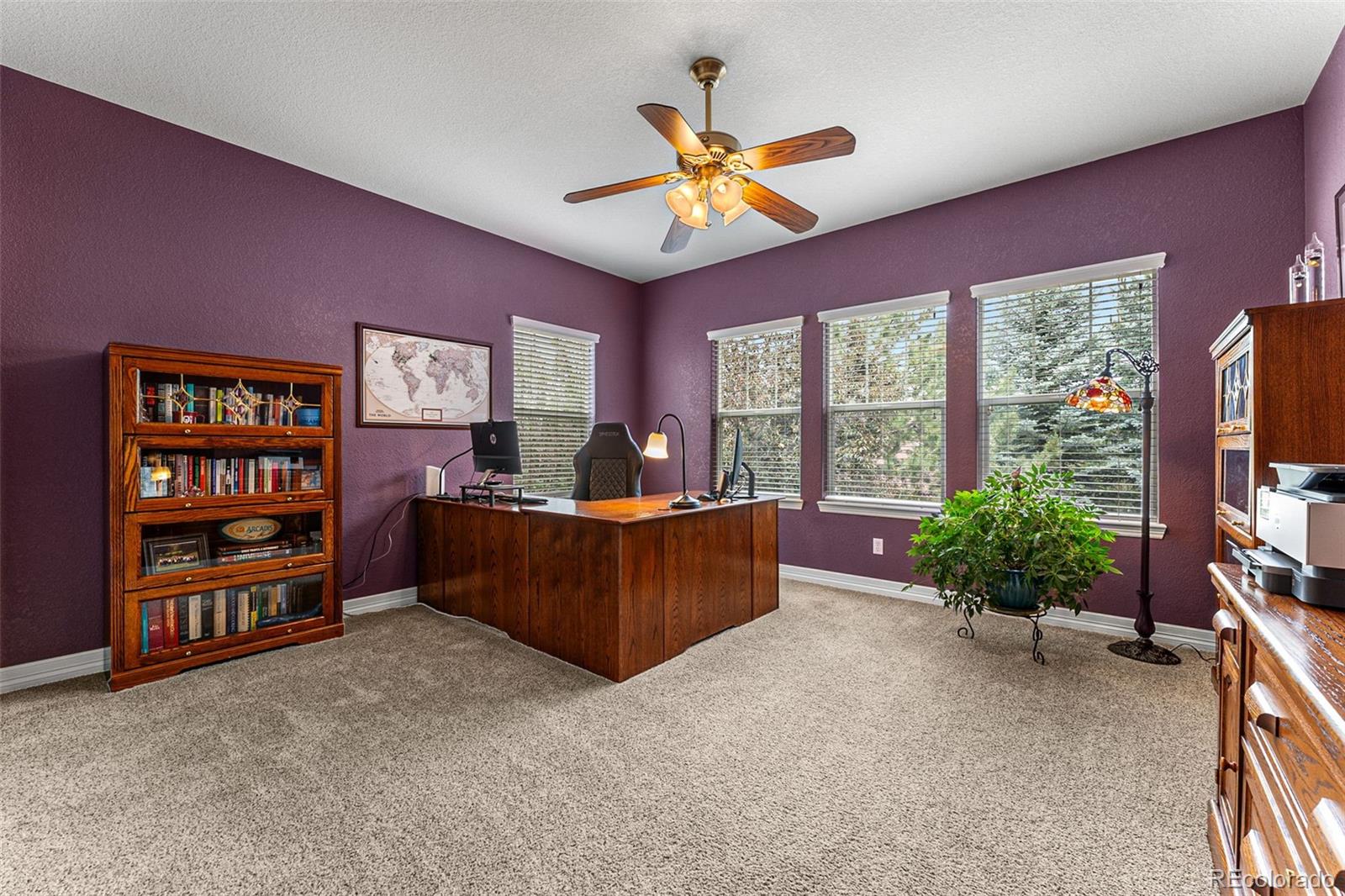 MLS Image #19 for 1480  sterling hill court,castle rock, Colorado