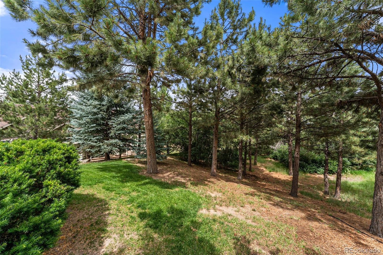 MLS Image #40 for 1480  sterling hill court,castle rock, Colorado