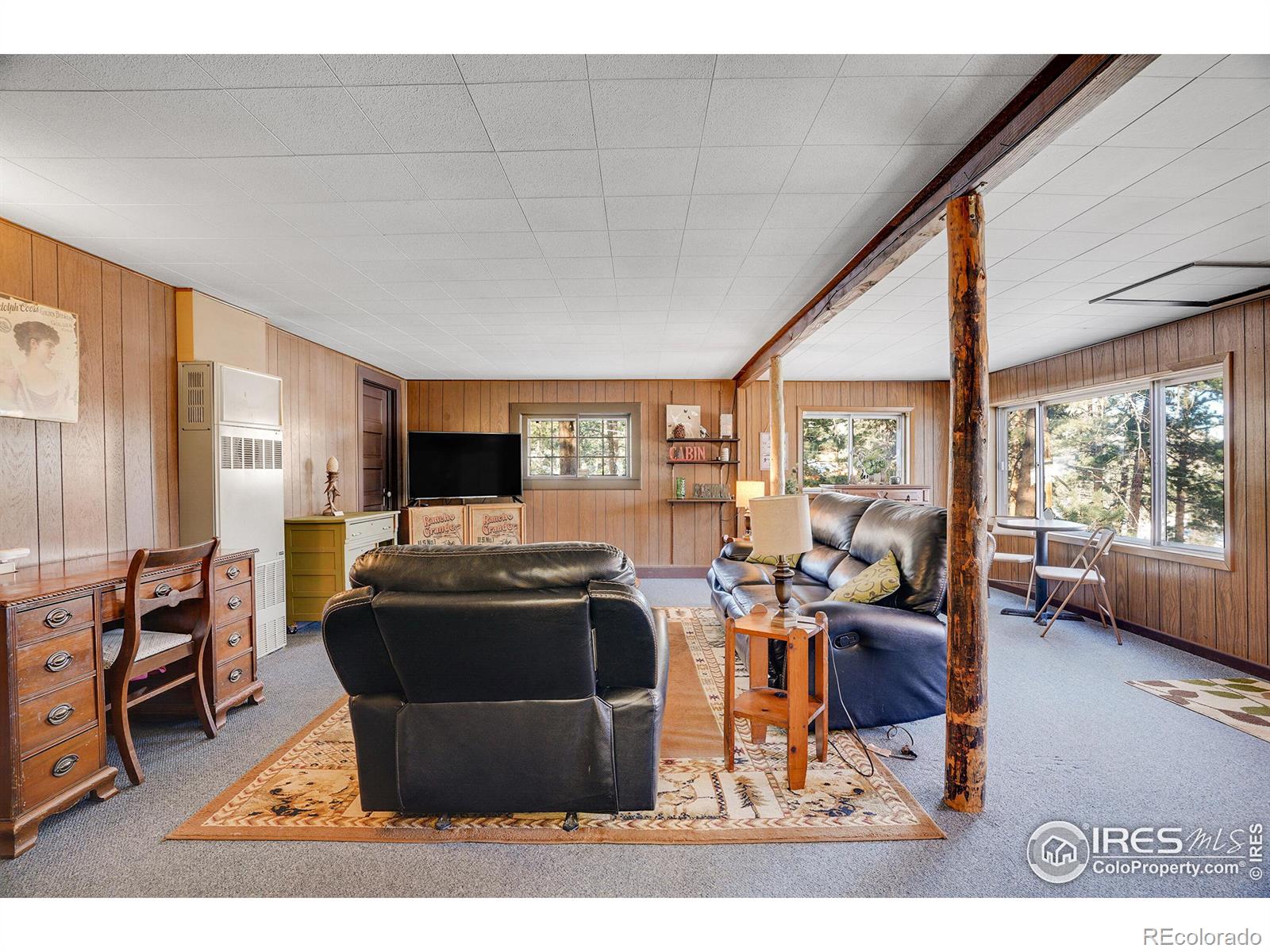 MLS Image #21 for 661  chapin lane,estes park, Colorado