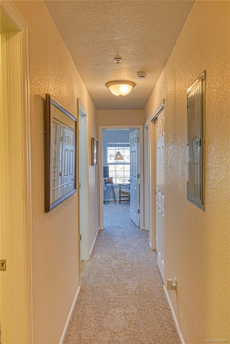 MLS Image #13 for 494  black feather loop,castle rock, Colorado