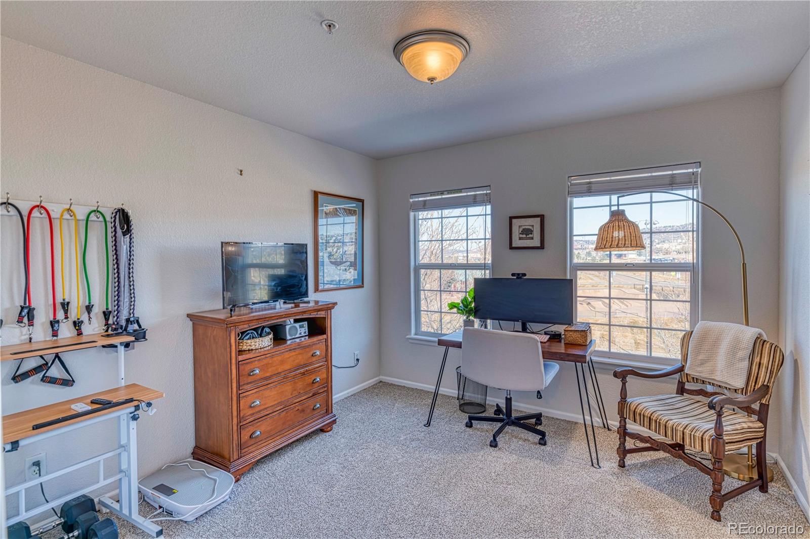 MLS Image #17 for 494  black feather loop,castle rock, Colorado