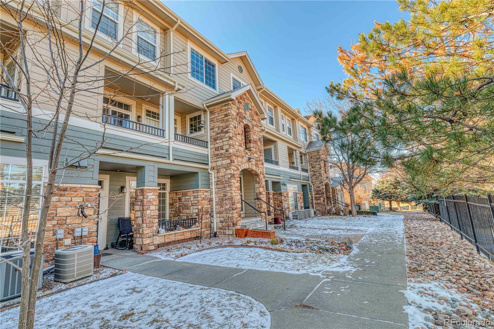 MLS Image #27 for 494  black feather loop,castle rock, Colorado