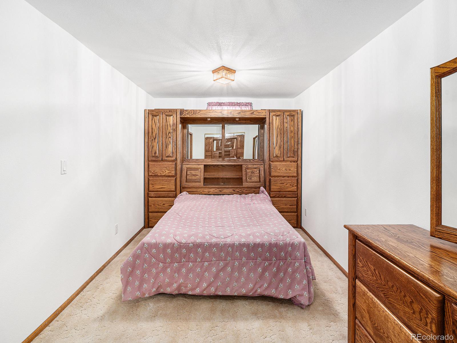 MLS Image #20 for 245  cedar street,hudson, Colorado