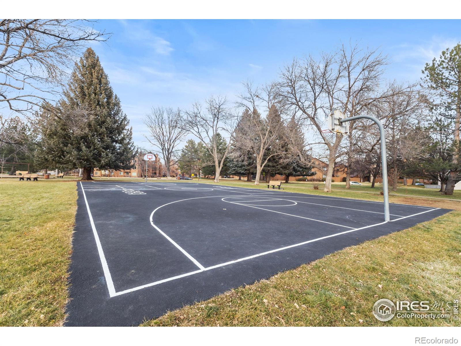 MLS Image #22 for 5908  gunbarrel avenue,boulder, Colorado