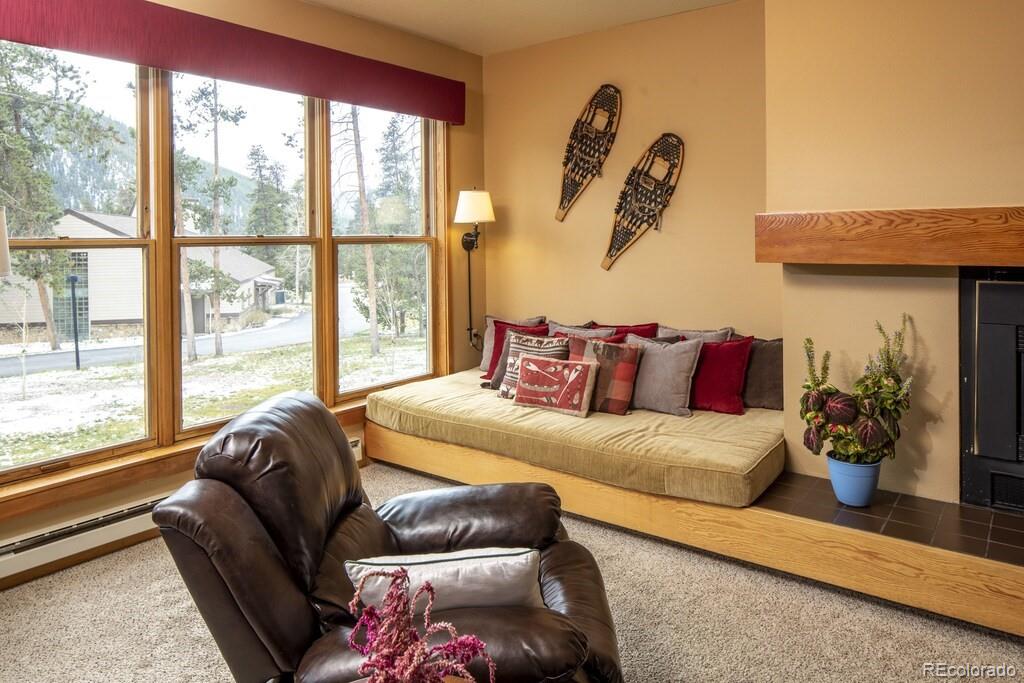 MLS Image #1 for 180  tennis club road 1649,keystone, Colorado