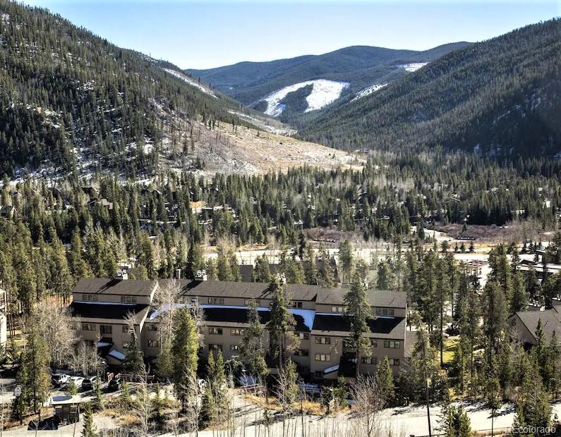 MLS Image #24 for 180  tennis club road 1649,keystone, Colorado