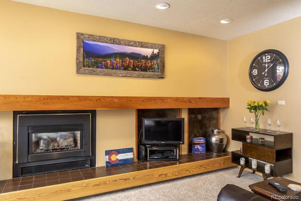 MLS Image #3 for 180  tennis club road 1649,keystone, Colorado