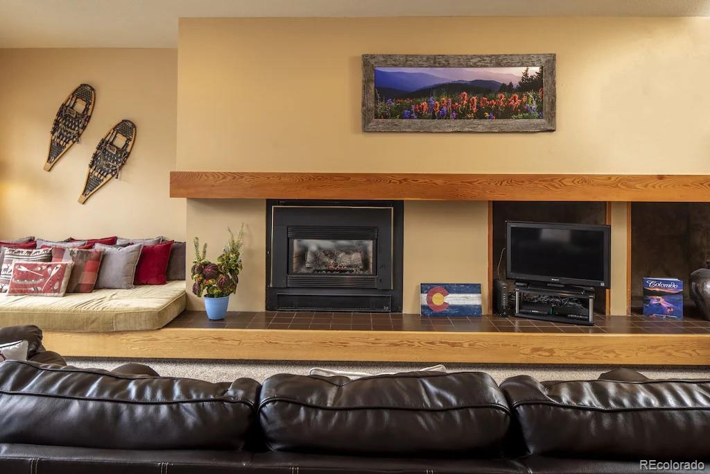 MLS Image #4 for 180  tennis club road 1649,keystone, Colorado