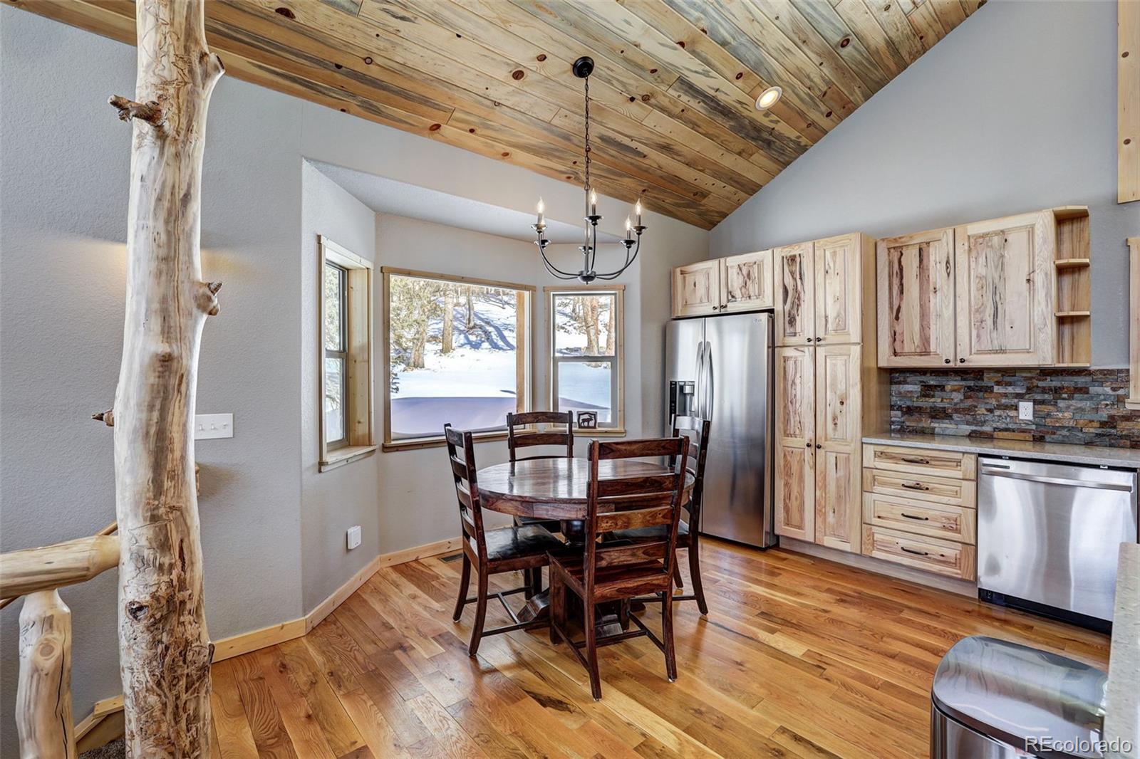 MLS Image #10 for 207  pine cone way,fairplay, Colorado