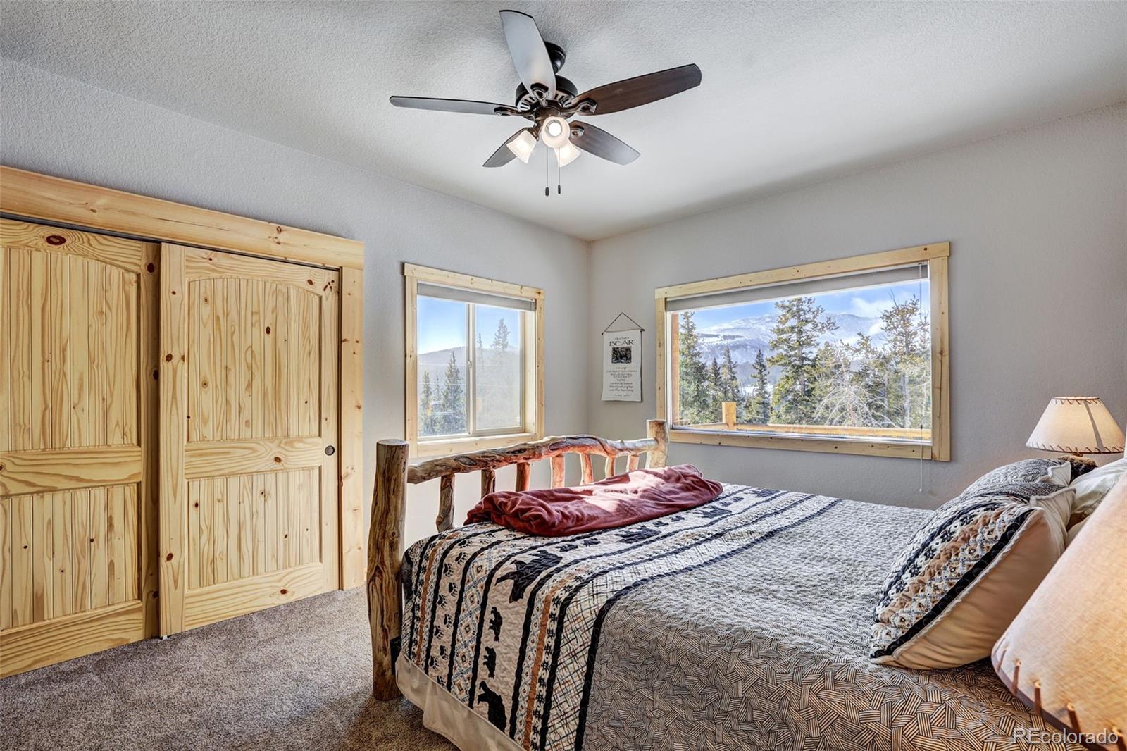 MLS Image #16 for 207  pine cone way,fairplay, Colorado