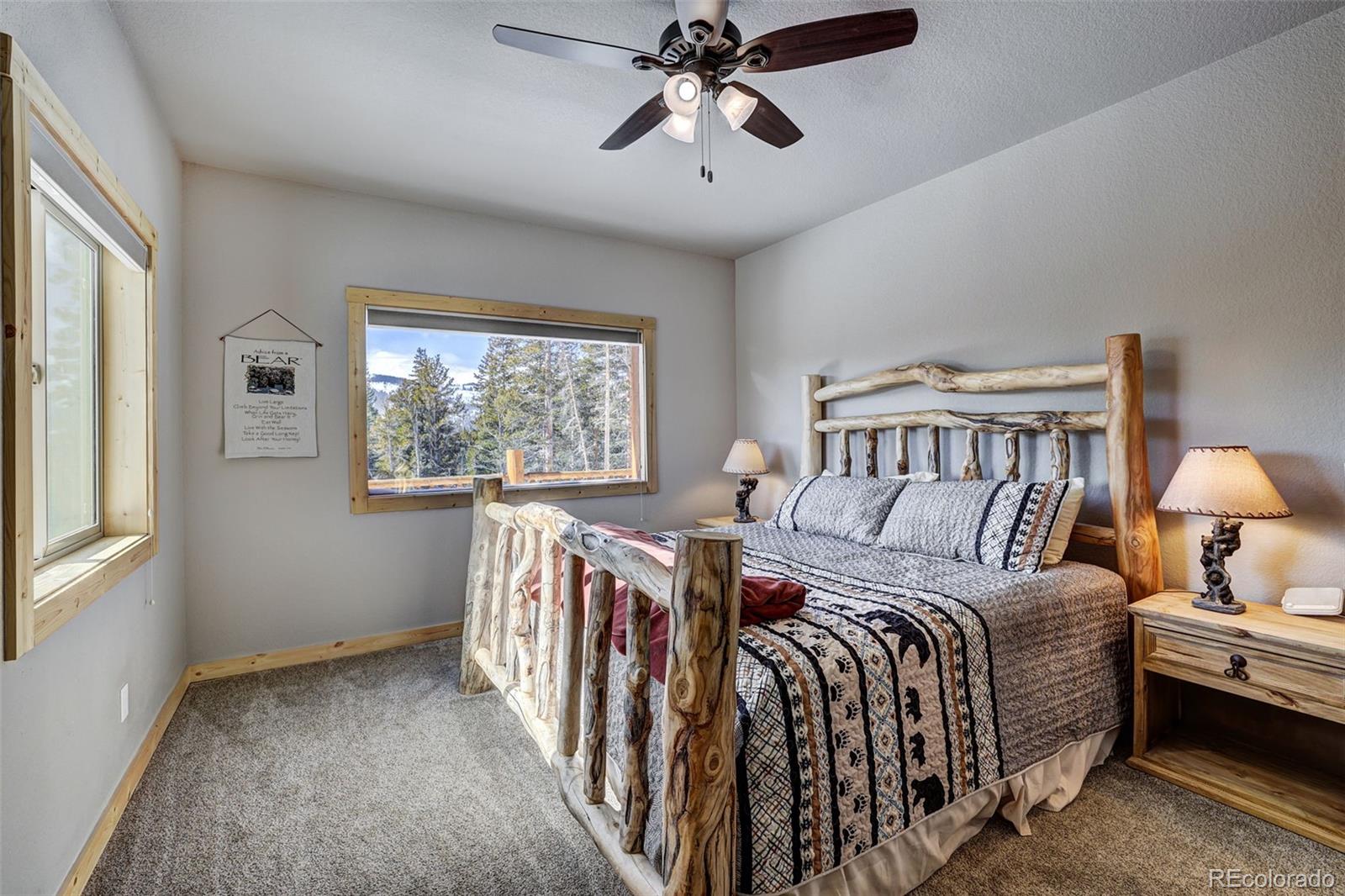 MLS Image #17 for 207  pine cone way,fairplay, Colorado