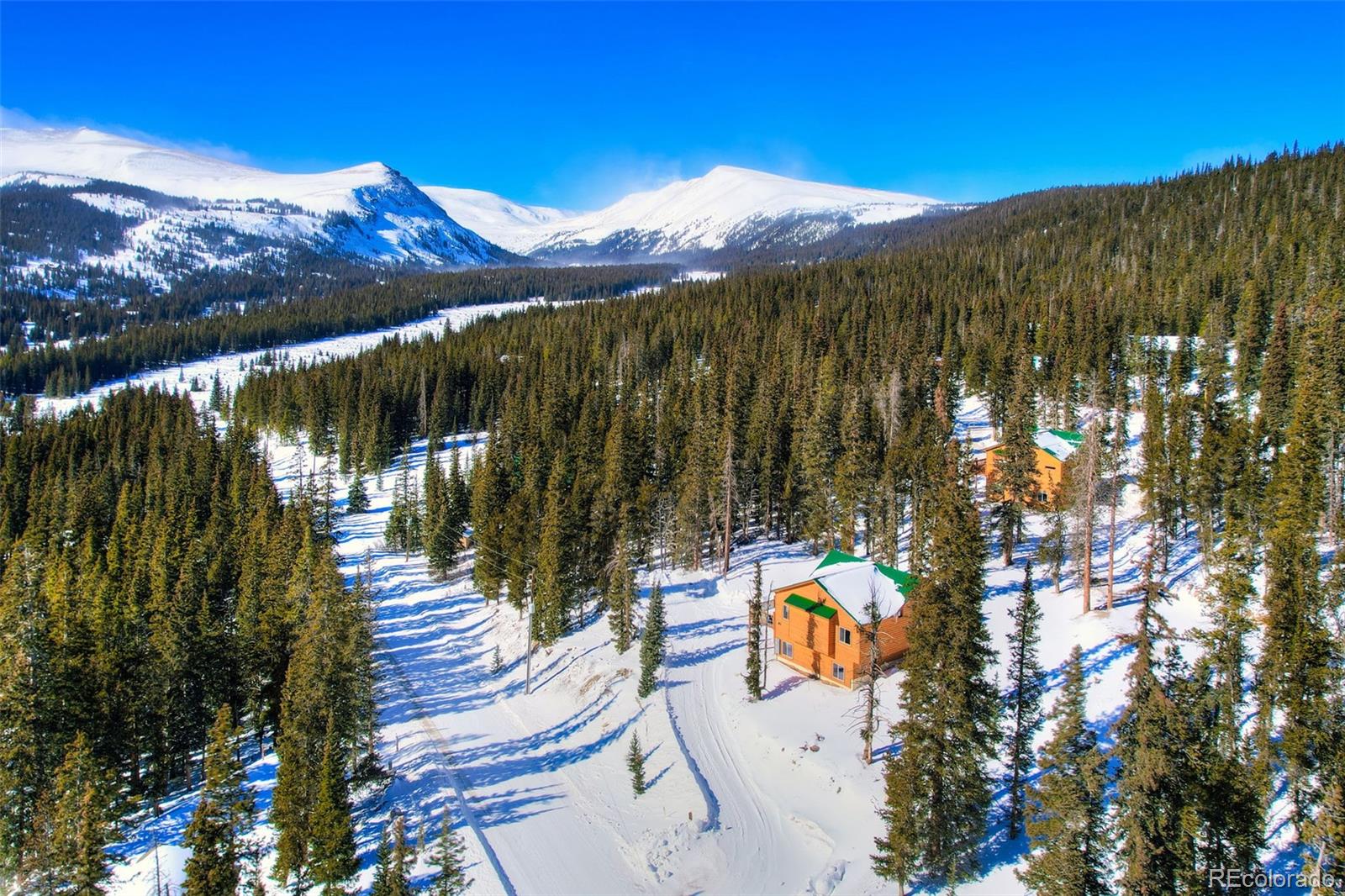 MLS Image #2 for 207  pine cone way,fairplay, Colorado