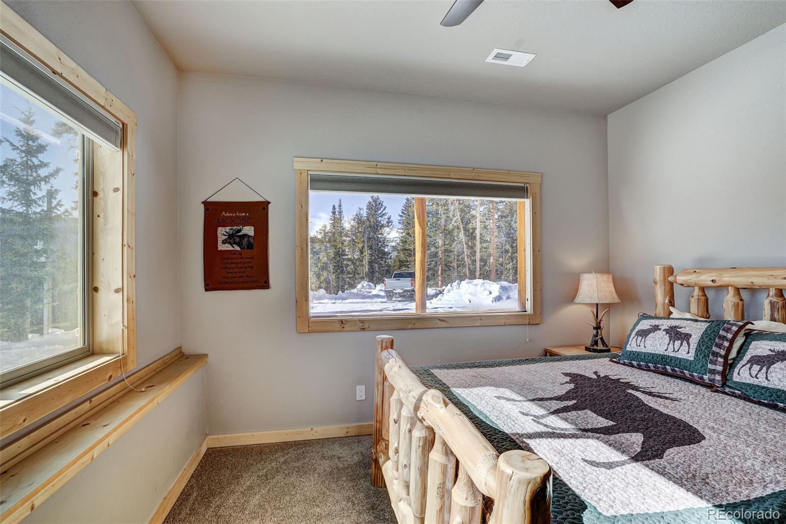 MLS Image #21 for 207  pine cone way,fairplay, Colorado