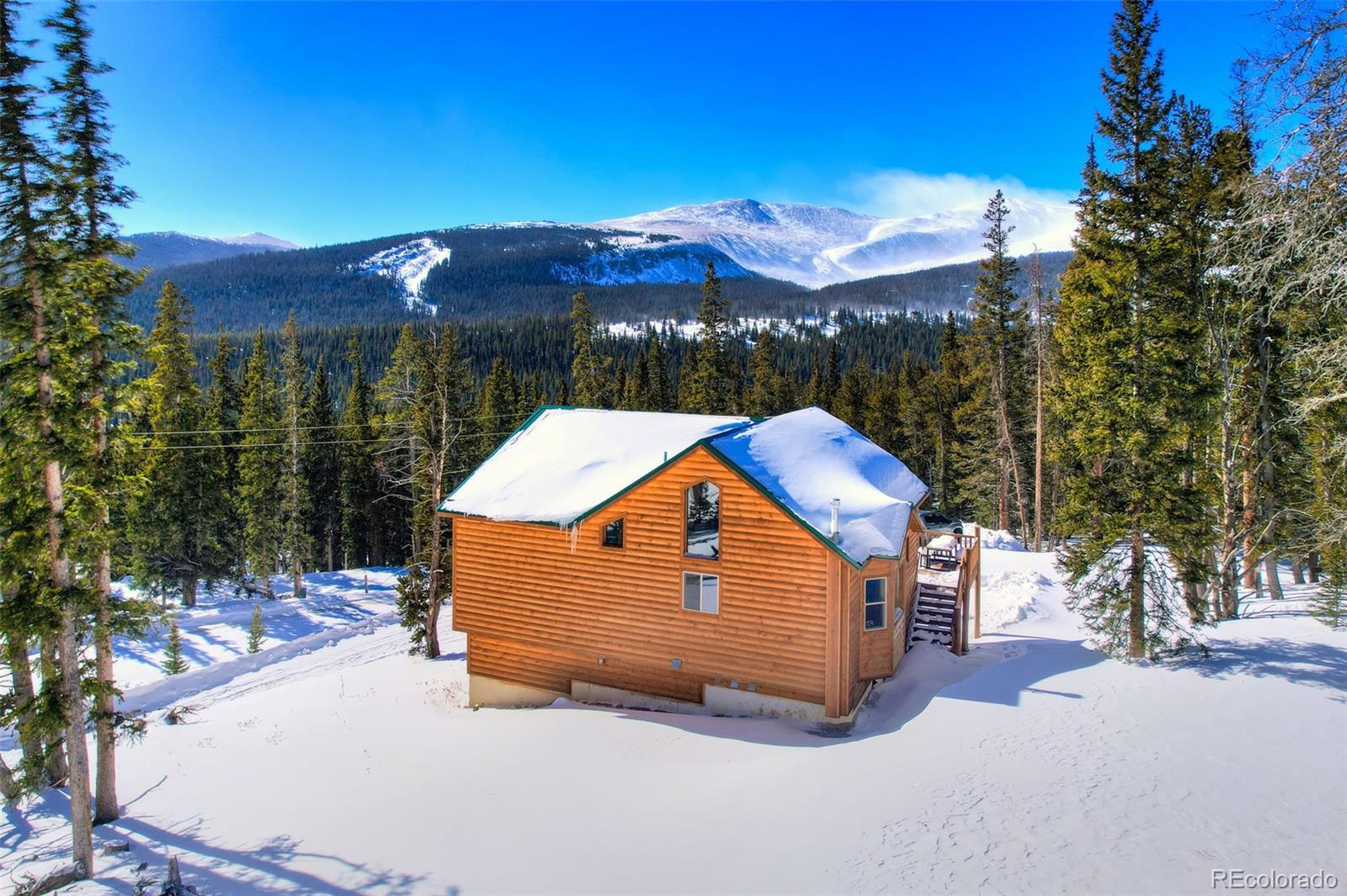 MLS Image #28 for 207  pine cone way,fairplay, Colorado