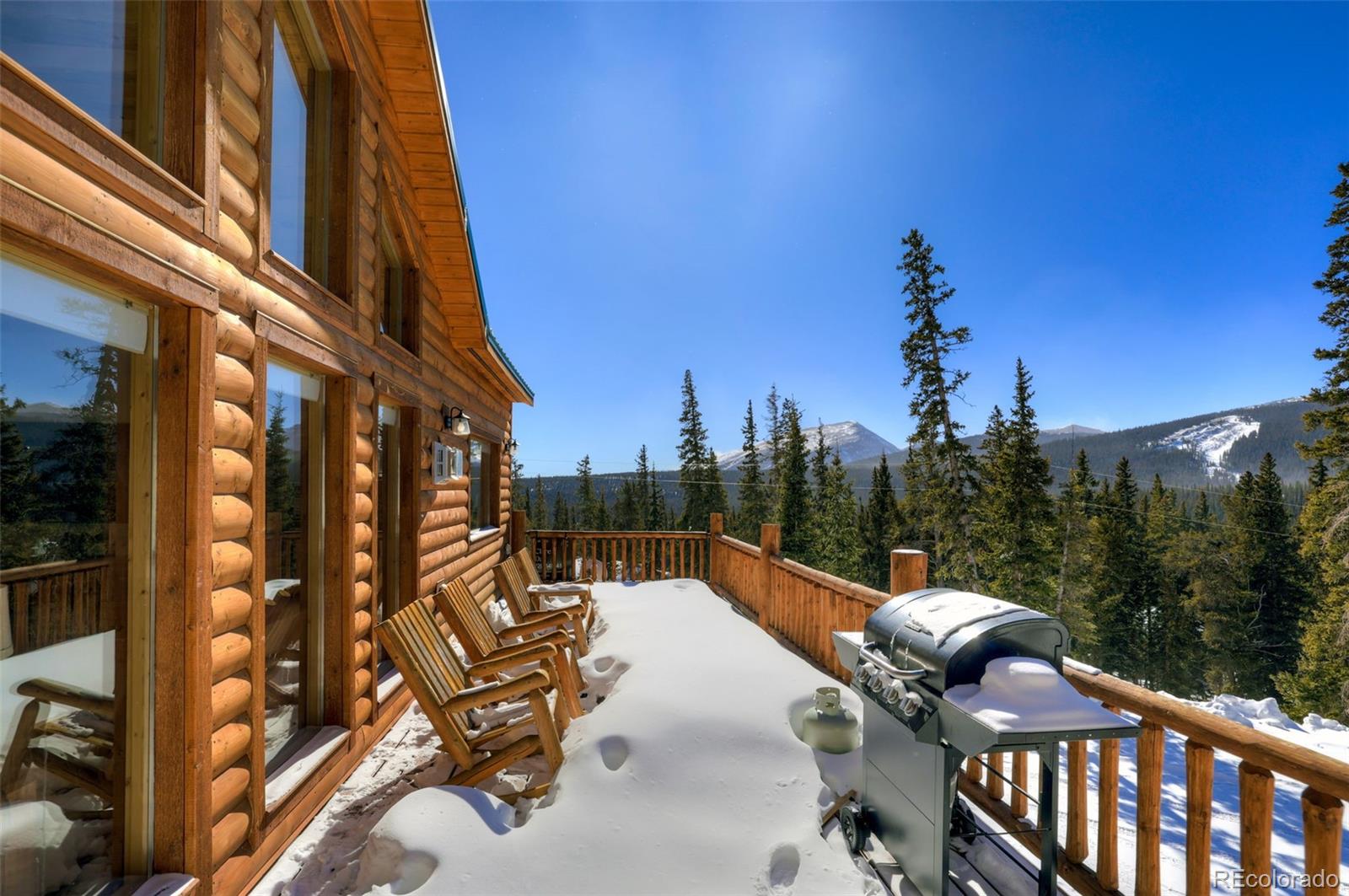 MLS Image #3 for 207  pine cone way,fairplay, Colorado