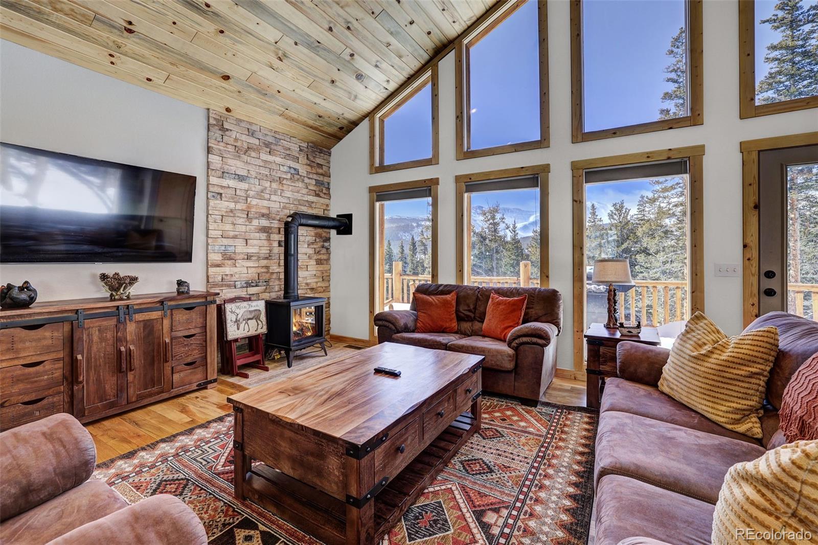 MLS Image #6 for 207  pine cone way,fairplay, Colorado