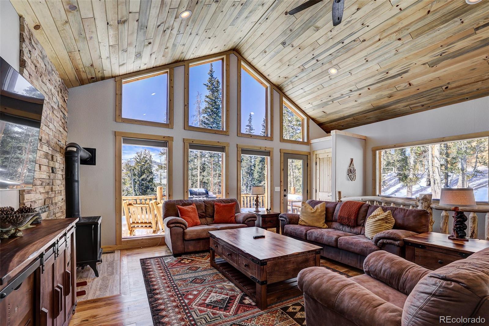 MLS Image #7 for 207  pine cone way,fairplay, Colorado