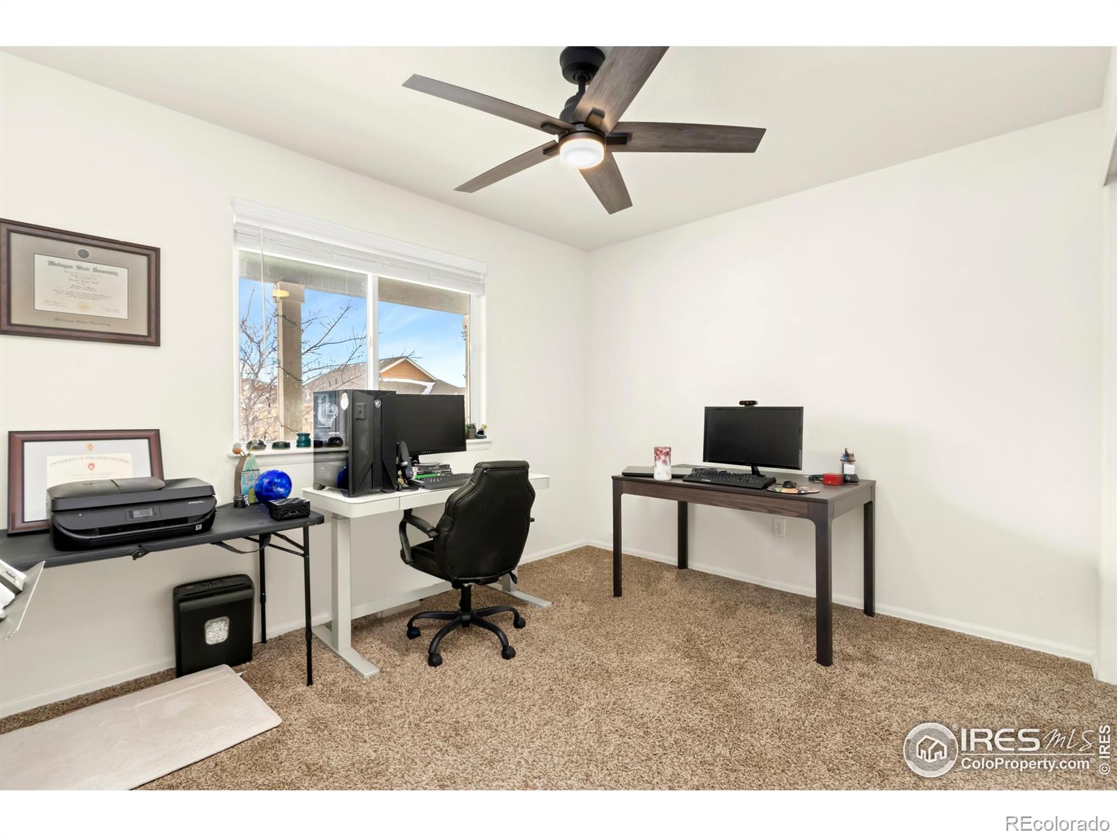 MLS Image #14 for 1484  first light drive,windsor, Colorado