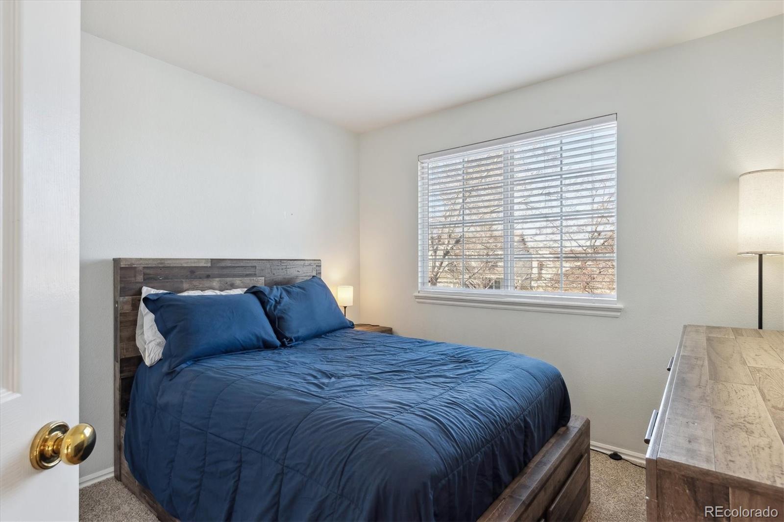 MLS Image #24 for 8716  starwood lane,parker, Colorado