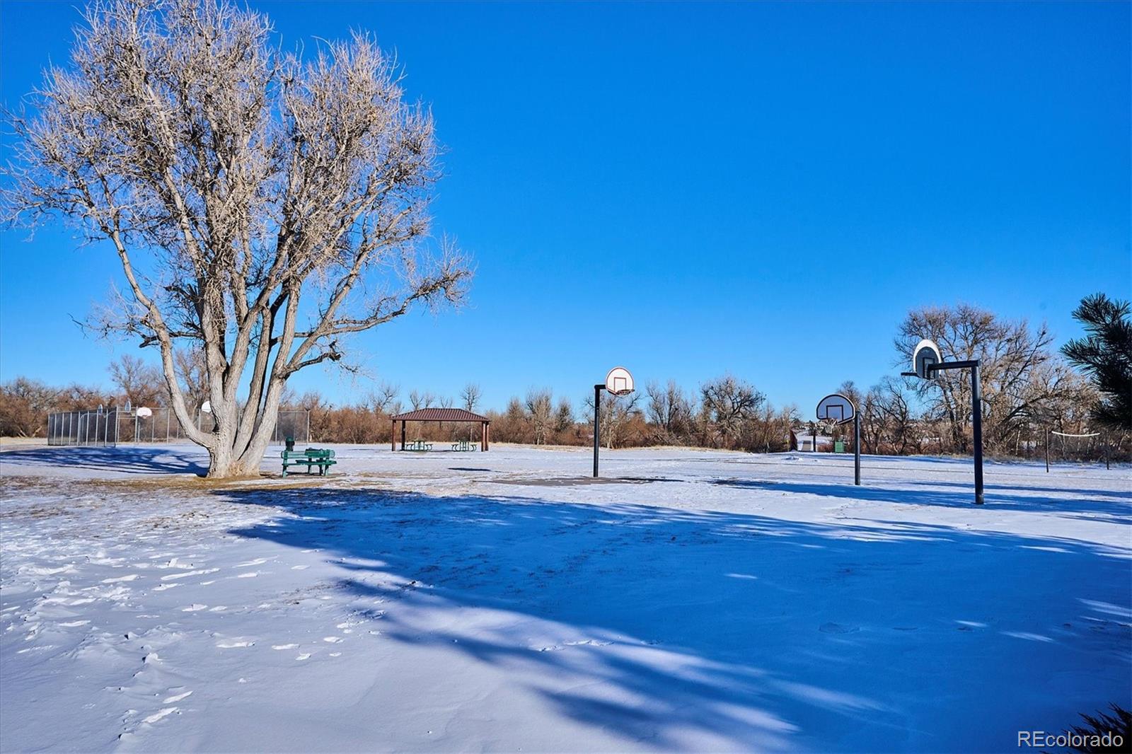 MLS Image #33 for 8716  starwood lane,parker, Colorado