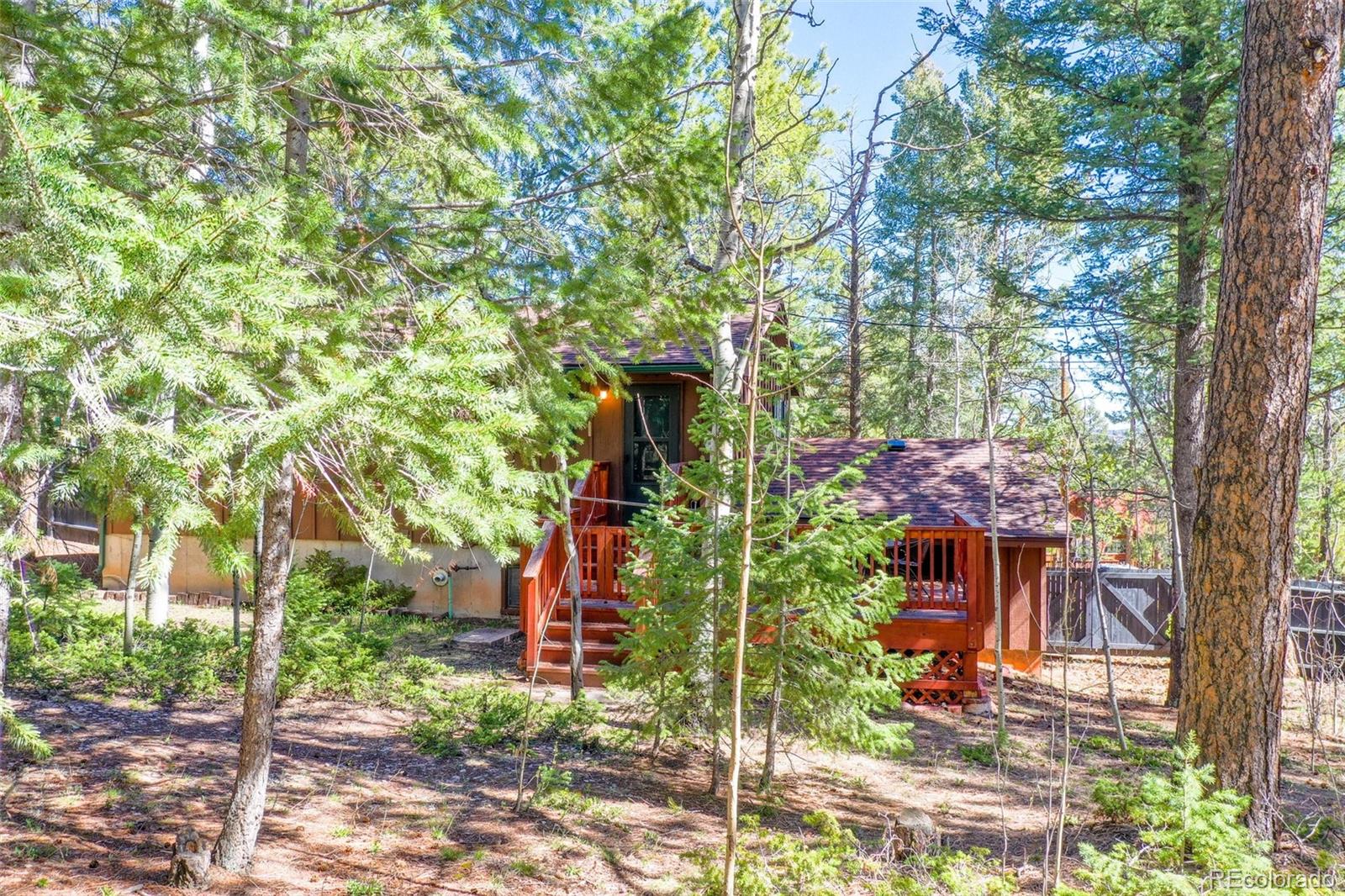 MLS Image #38 for 1321 w midland avenue,woodland park, Colorado
