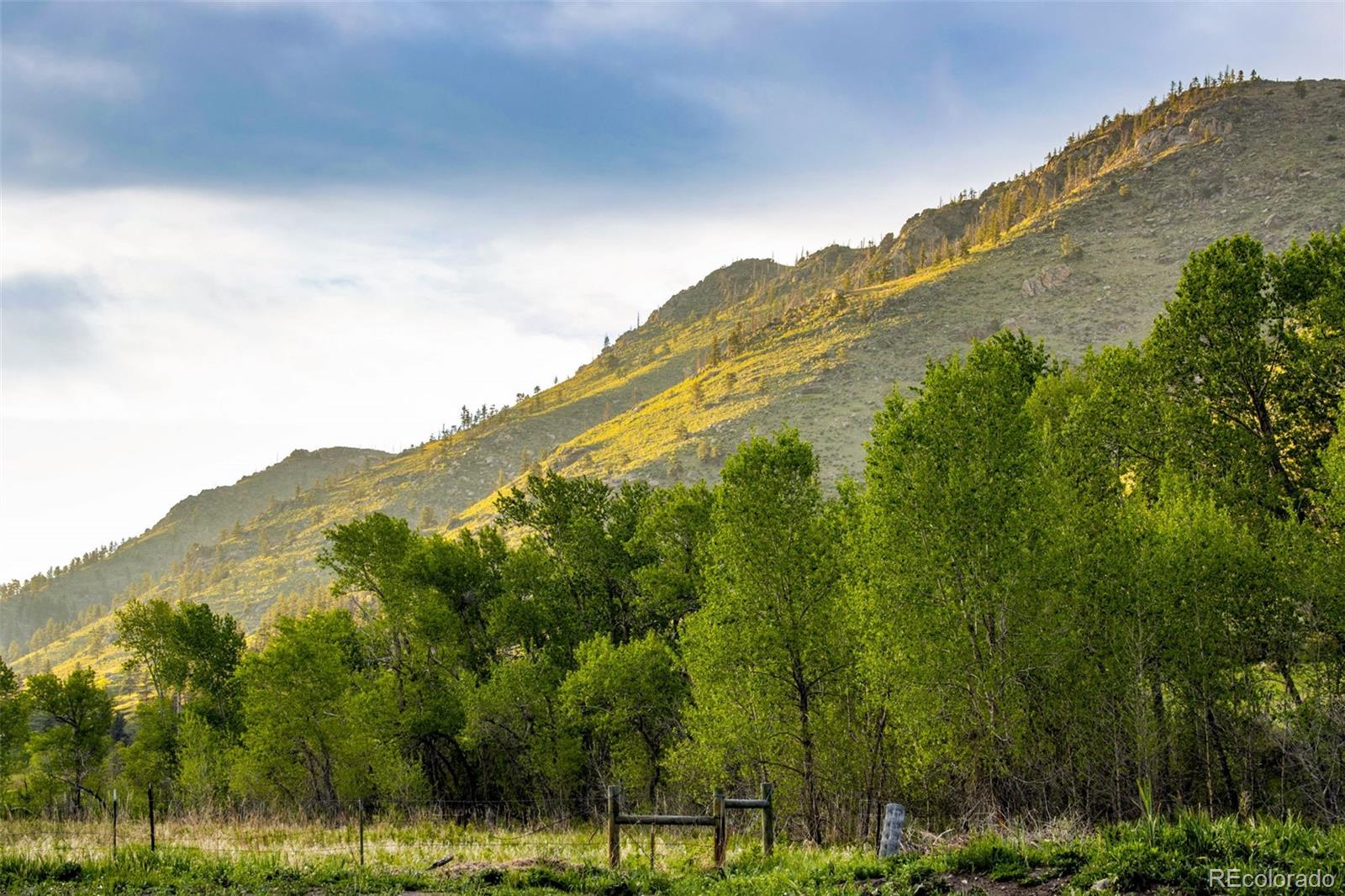 MLS Image #35 for 1268  ohana way,bellvue, Colorado