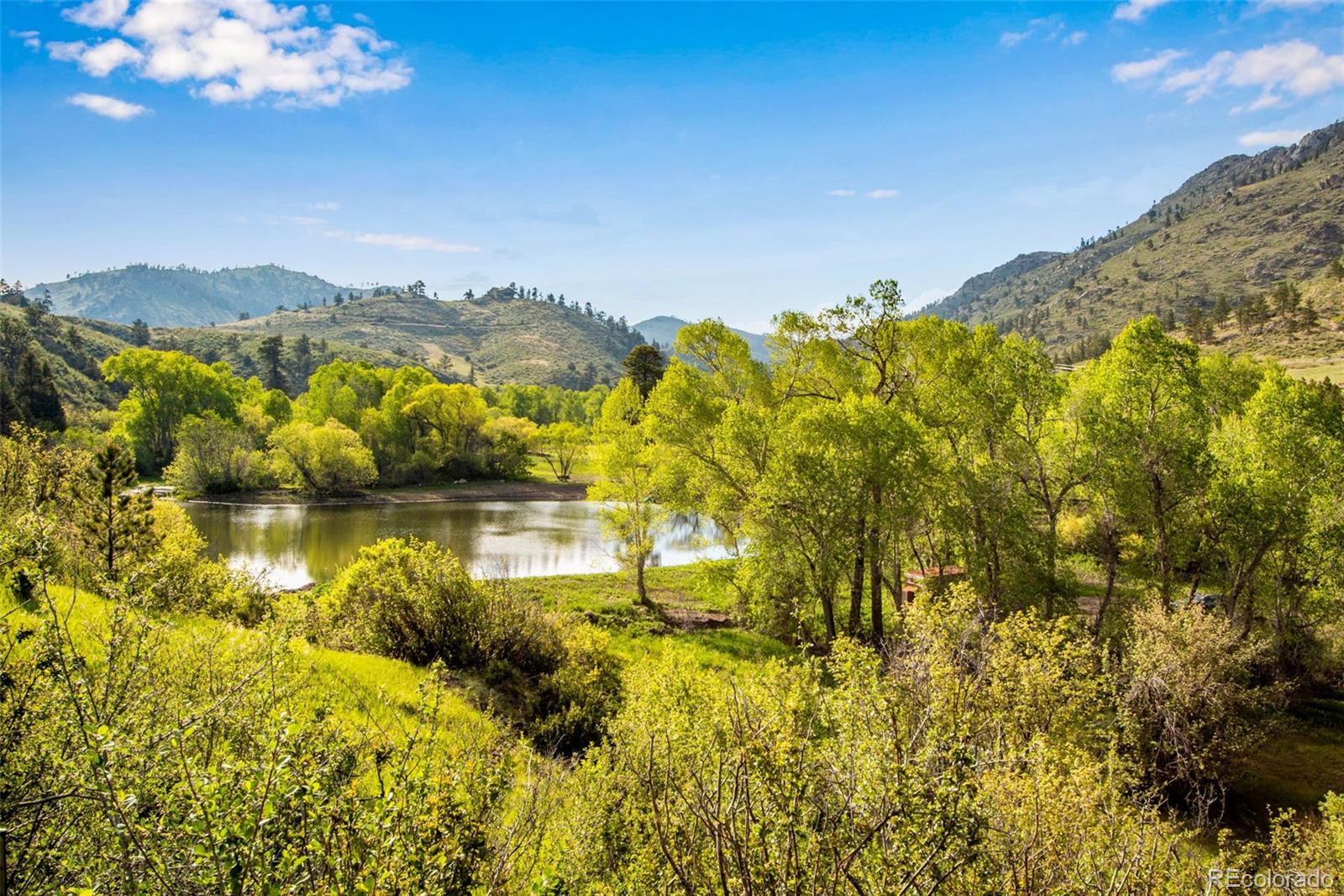 MLS Image #7 for 1268  ohana way,bellvue, Colorado