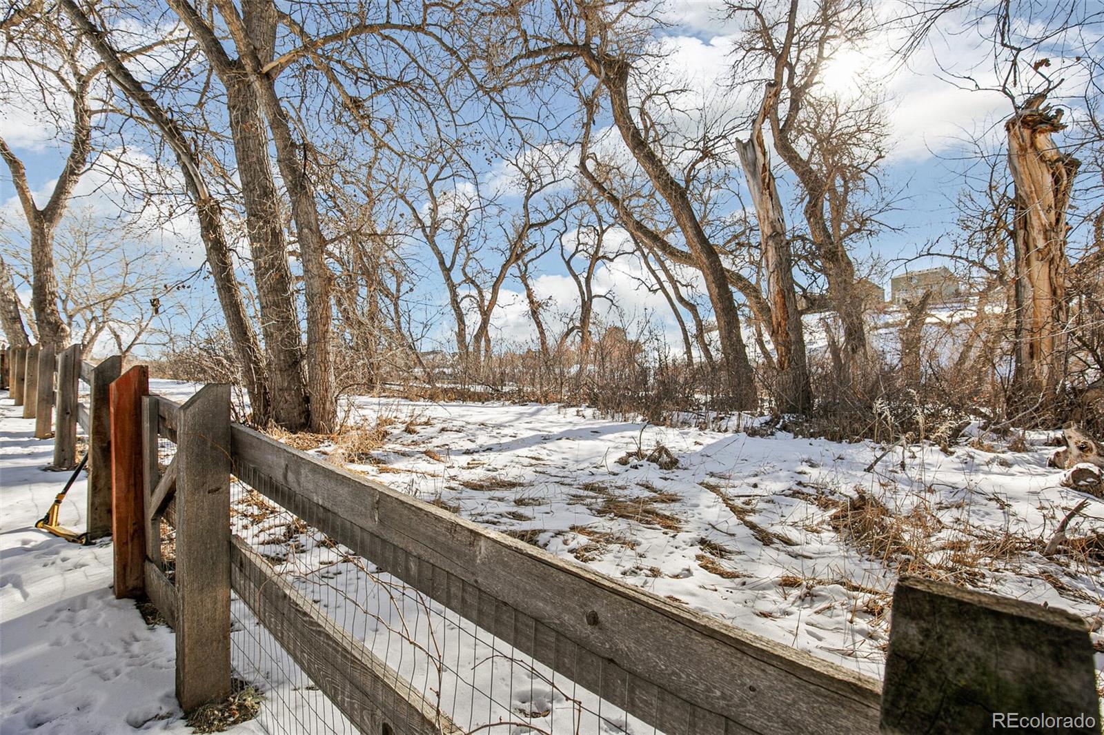 MLS Image #29 for 21792  silver meadow lane,parker, Colorado