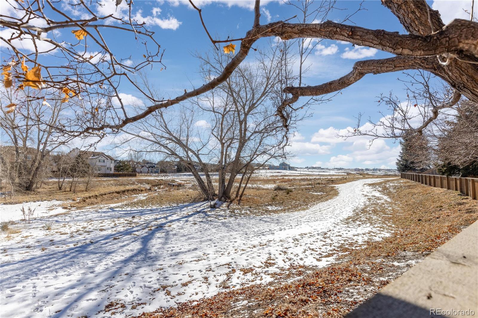 MLS Image #40 for 10536  stonemeadow drive,parker, Colorado