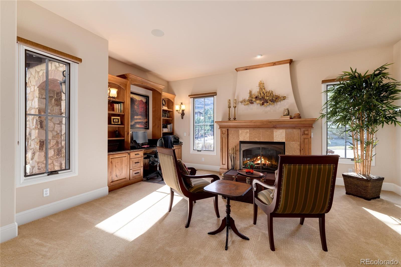 MLS Image #20 for 8002  galileo way,littleton, Colorado