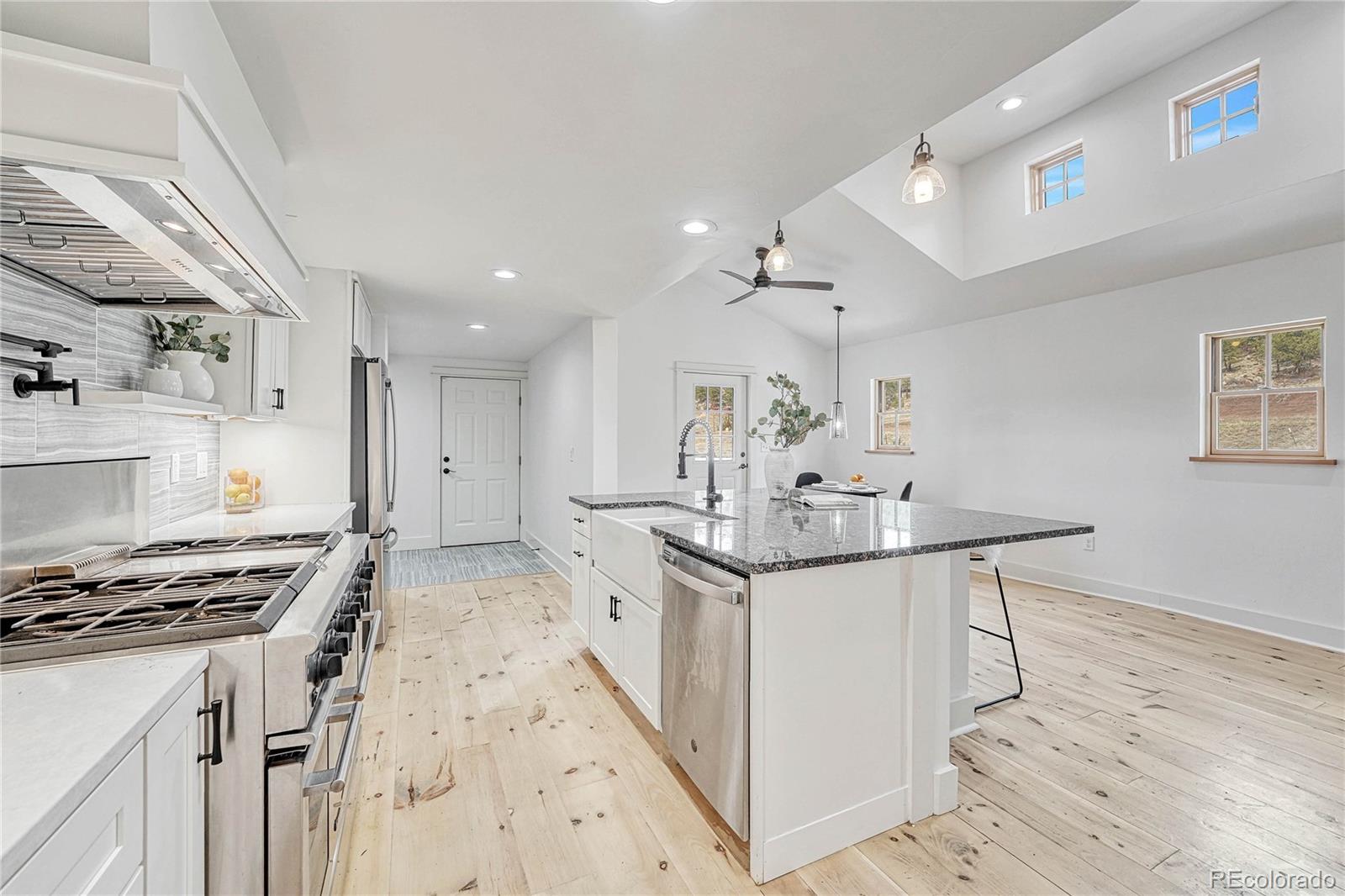 MLS Image #19 for 1636  lakemoor drive,florissant, Colorado
