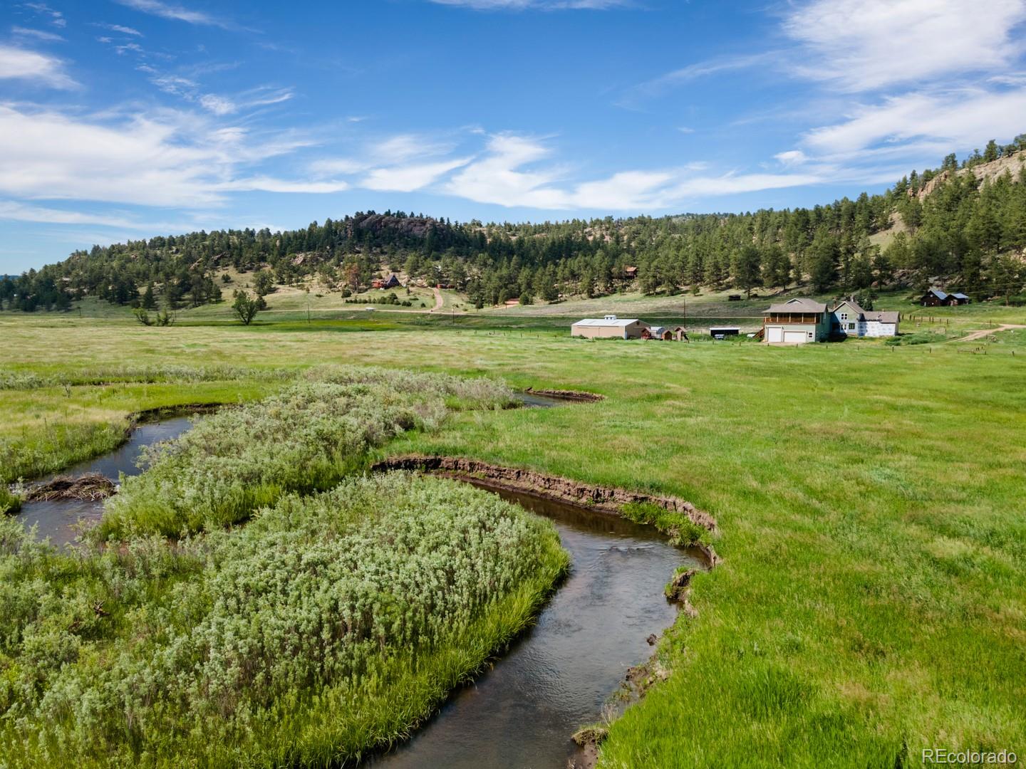 MLS Image #5 for 1636  lakemoor drive,florissant, Colorado