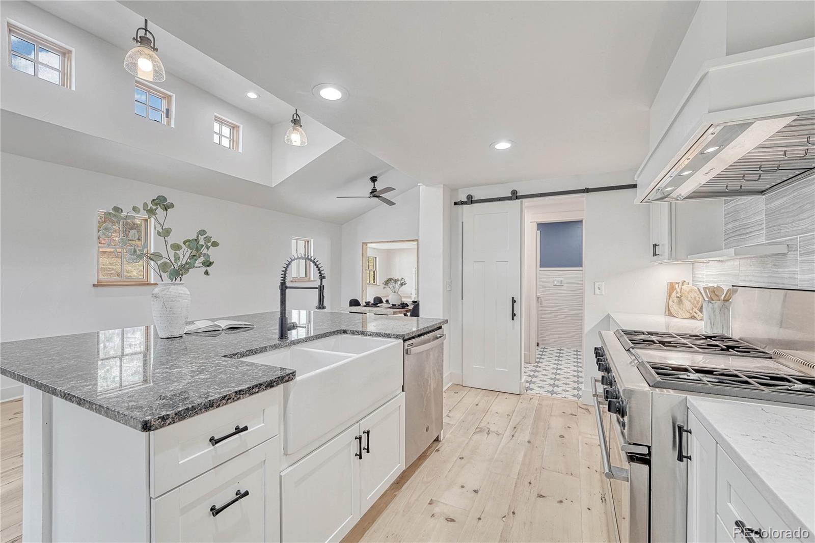 MLS Image #6 for 1636  lakemoor drive,florissant, Colorado