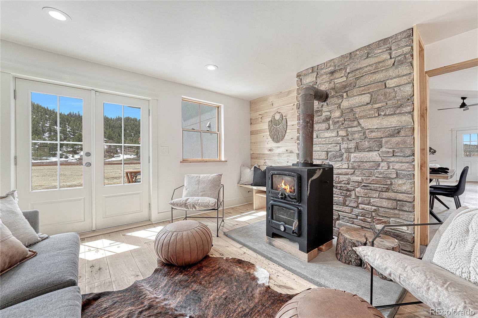 MLS Image #9 for 1636  lakemoor drive,florissant, Colorado