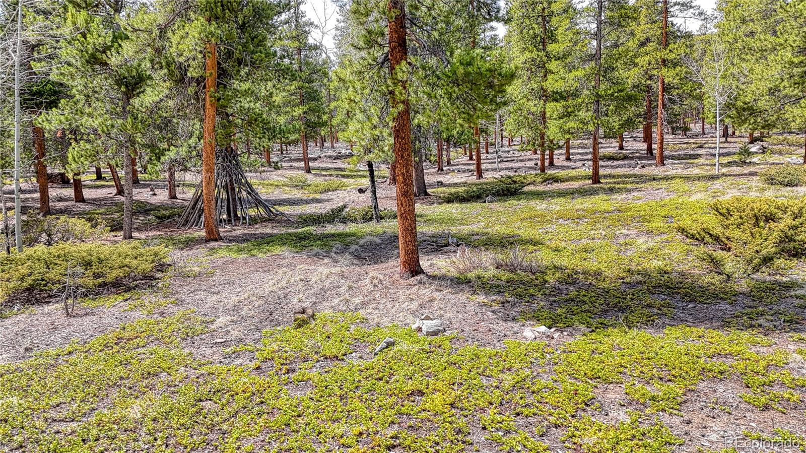 MLS Image #47 for 33615  wapiti circle,buena vista, Colorado
