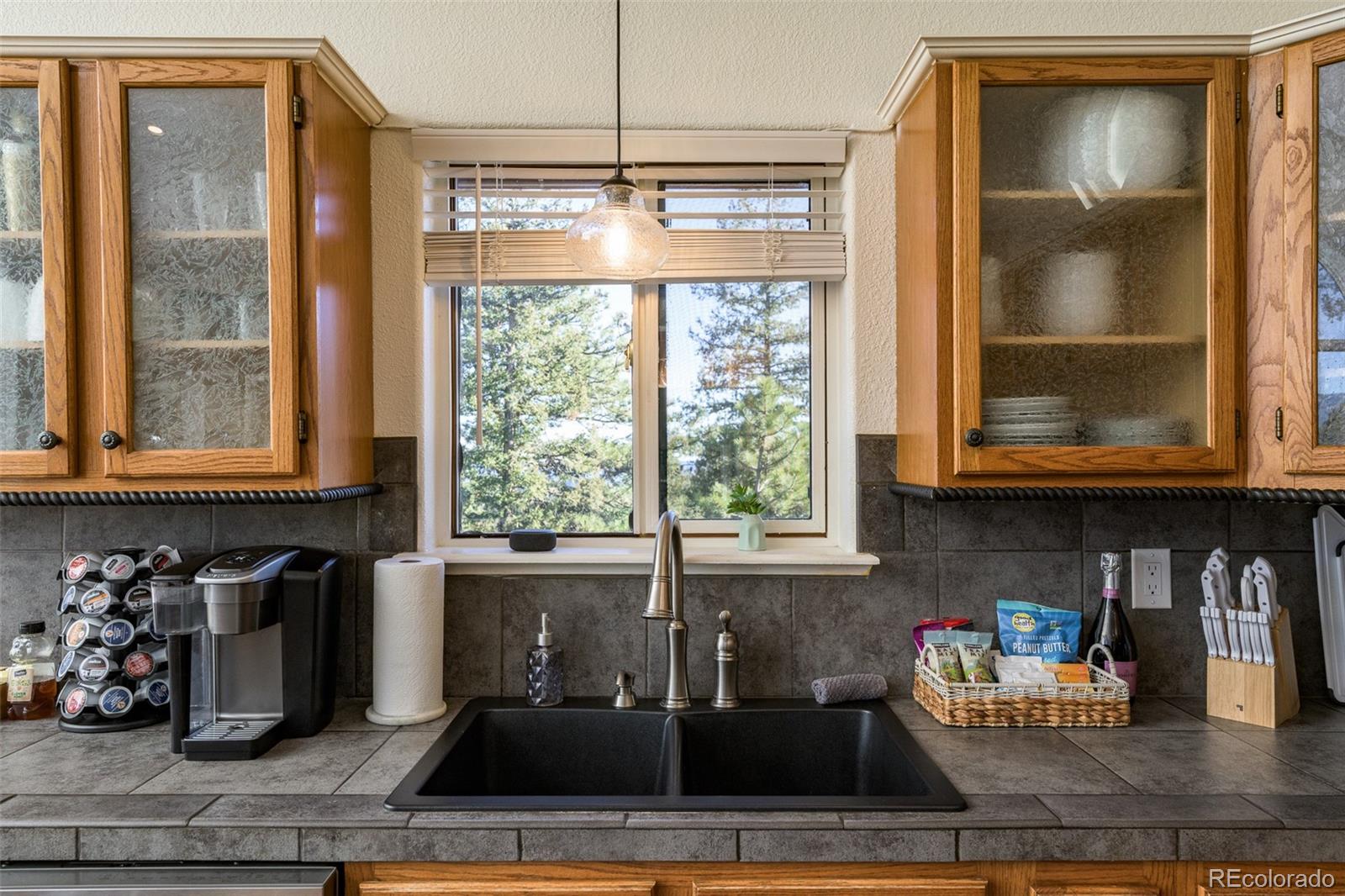 MLS Image #14 for 477  mount bailey drive,bailey, Colorado