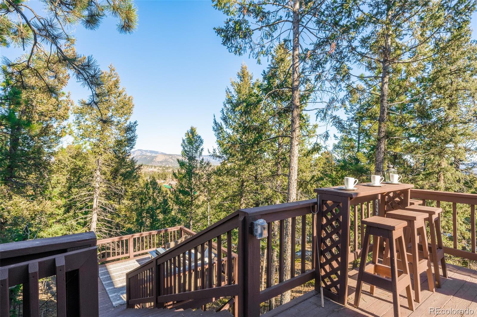 MLS Image #22 for 477  mount bailey drive,bailey, Colorado