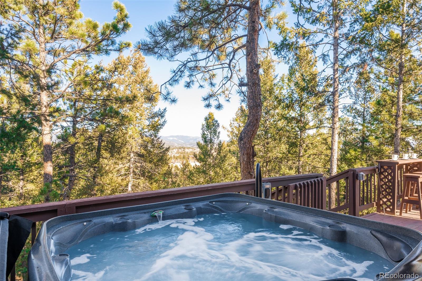 MLS Image #26 for 477  mount bailey drive,bailey, Colorado