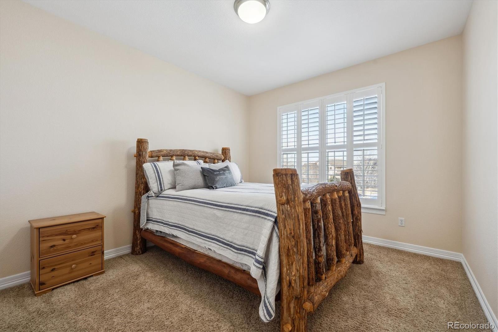 MLS Image #19 for 8631  gladiola circle,arvada, Colorado