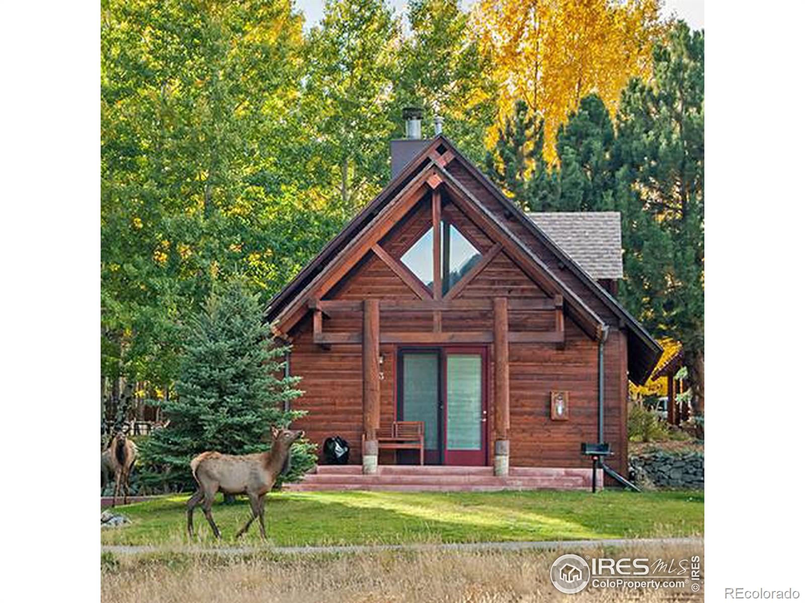 MLS Image #3 for 1565  highway 66 ,estes park, Colorado